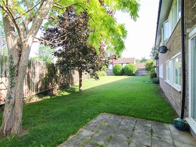 Picture 10